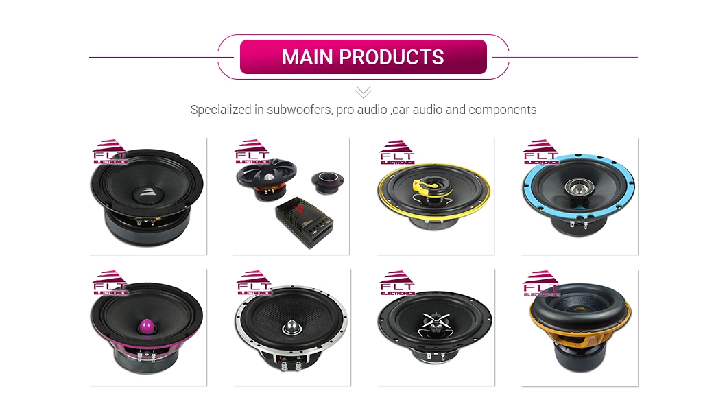 OEM 8′ ′ Car Audio Manufacturer Midrange Speaker