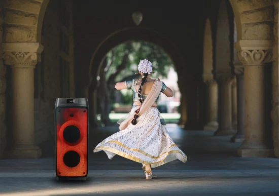 Altoparlante Bluetooth wireless per karaoke mobile Super Bass con woofer da 6,5 ​​pollici Flame Light