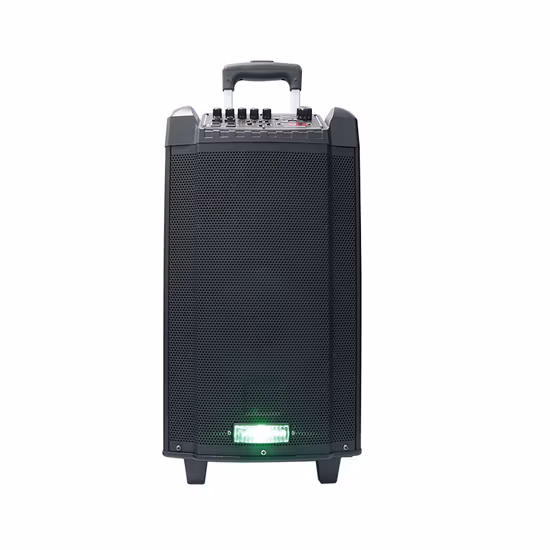 Temeisheng Produttore Subwoofer da 10 pollici Grande potenza HiFi Portatile Wireless Bluetooth Bt PA Altoparlante per DJ Bass da esterno per feste Tms-1001A