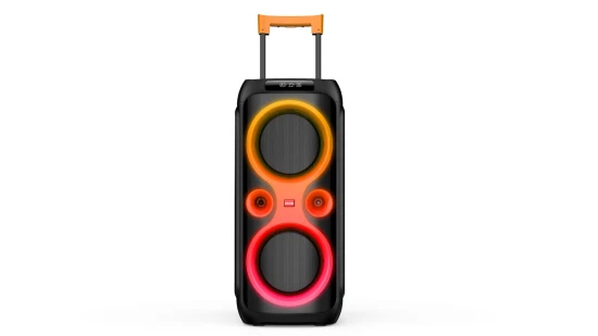2022 Altoparlante privato, potente audio PA Doppio 10 pollici Wireless Bluetooth DJ Disco Karaoke Woofer Altoparlante per feste con amplificatore incorporato Caixa De Son De 100W